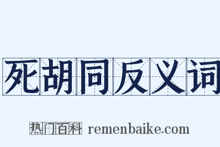 死胡同反义词是什么意思的图片